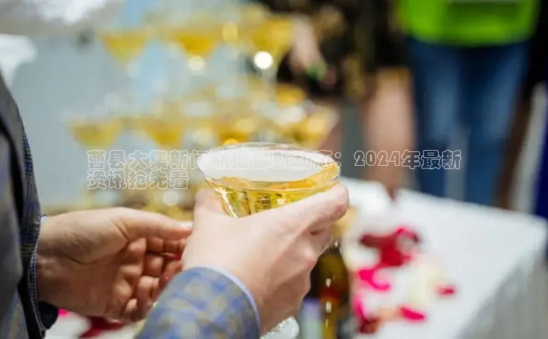 EON4百度移动开放平台曹县大集新闻联播最新动态：2024年最新
资讯抢先看