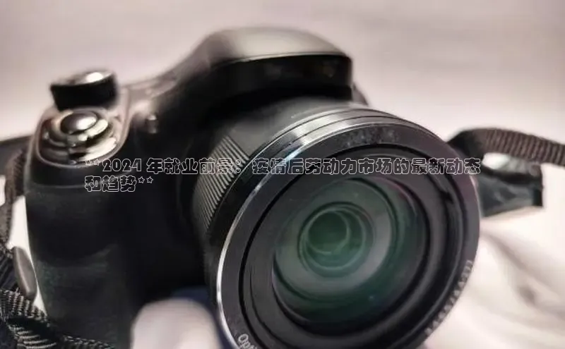 EON4招商百度数据开放平台**2024 年就业前景：疫情后劳动力市场的最新动态
和趋势**