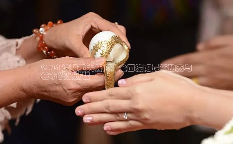 意昂体育4登录同程2024 沈阳重大新闻：全面沈阳最新动态与
城市发展进程