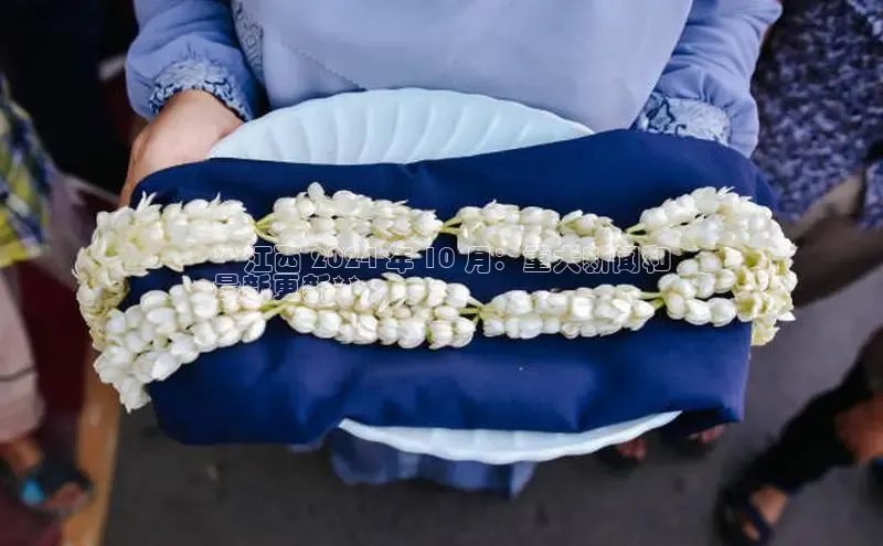 意昂体育4登录江铃新能源**江西 2024 年 10 月：重大新闻和
最新更新**