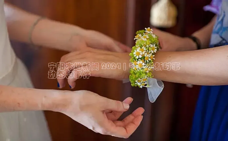 EON4代理知乎宁阳本地新闻 2024 | 宁阳最新时事
动态和事件