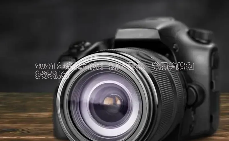 EON4官网美团2024 年金蟾动态：行业洞察、发展趋势和
投资机会