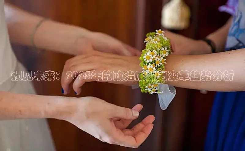 EON4登录百度营销中心预见未来：2025年的政治展望与变革趋势分析