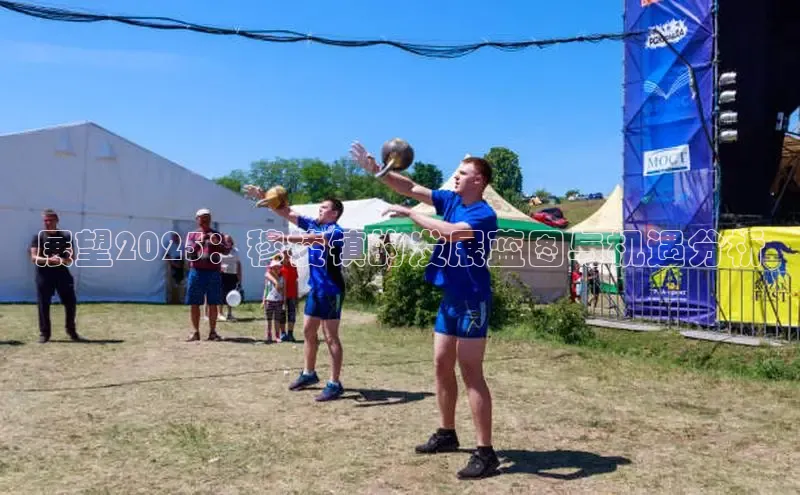 展望2025：穆棱镇的发展蓝图与机遇分析