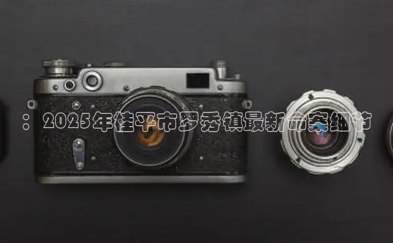 ：2025年桂平市罗秀镇最新命案细节