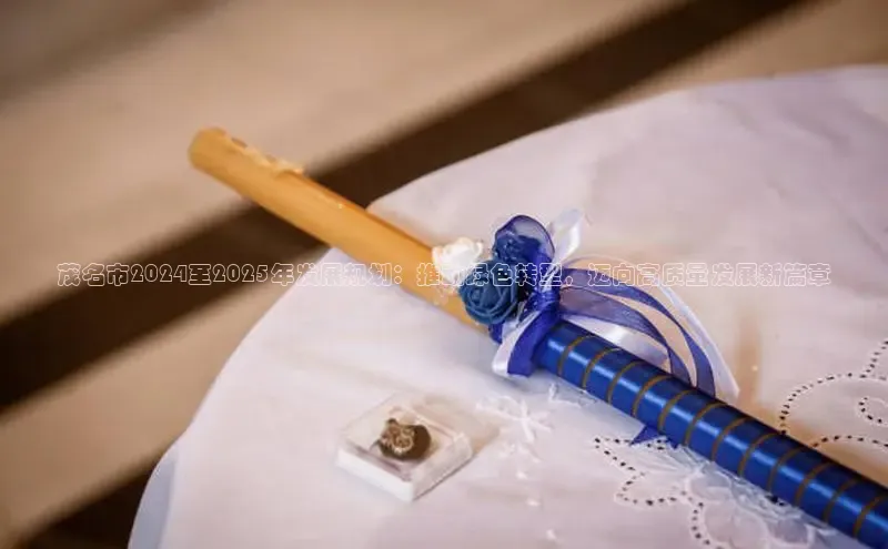 茂名市2024至2025年发展规划：推动绿色转型，迈向高质量发展新篇章