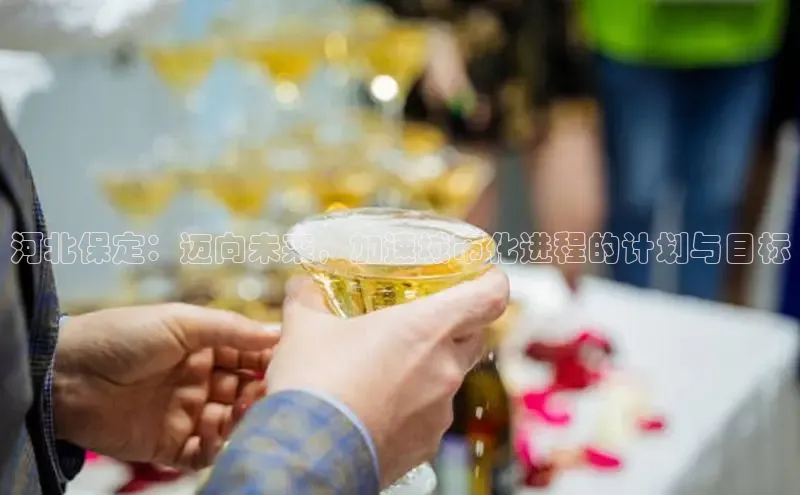 河北保定：迈向未来，加速城市化进程的计划与目标