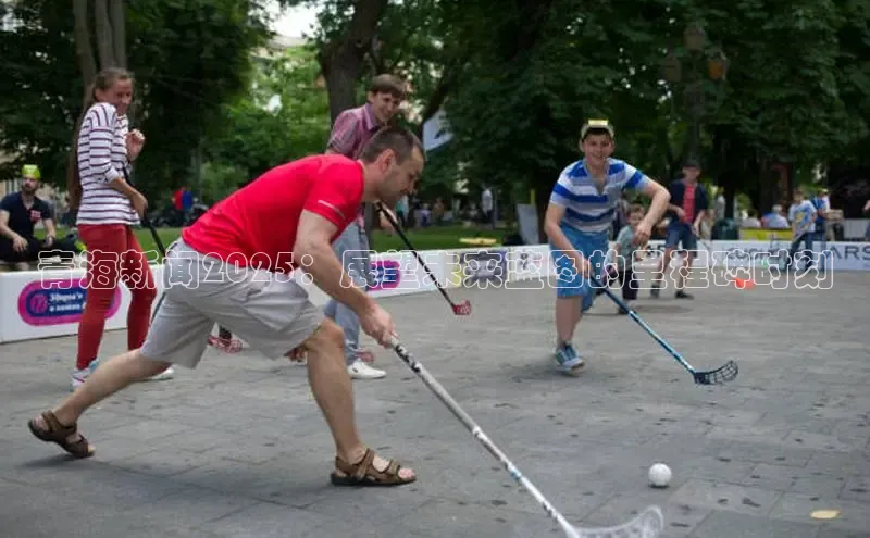 青海新闻2025：展望未来蓝图的里程碑时刻