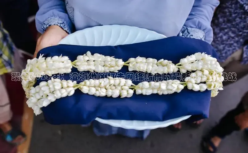 聚焦2025年：澄海地区打击网络赌博的最新进展与挑战