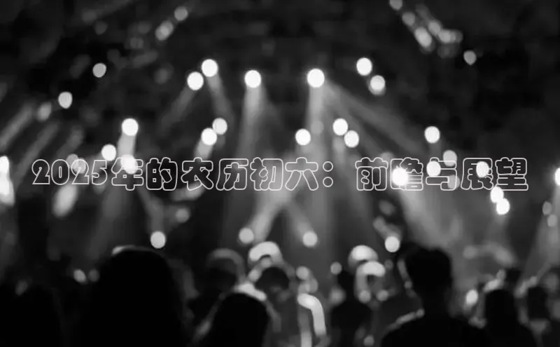 2025年的农历初六：前瞻与展望
