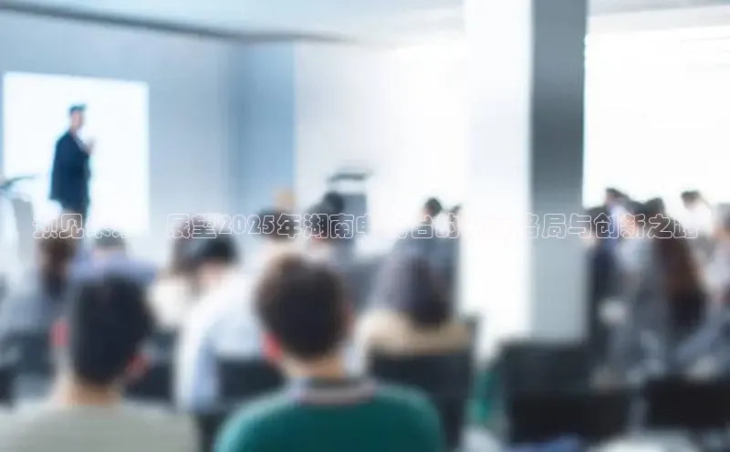 预见未来：展望2025年湖南电视台的新闻格局与创新之路