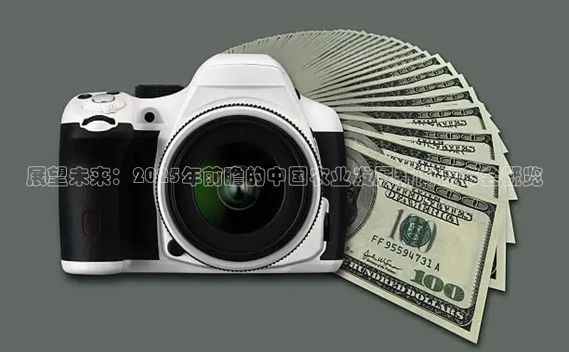 展望未来：2025年前瞻的中国农业发展新闻发布会概览